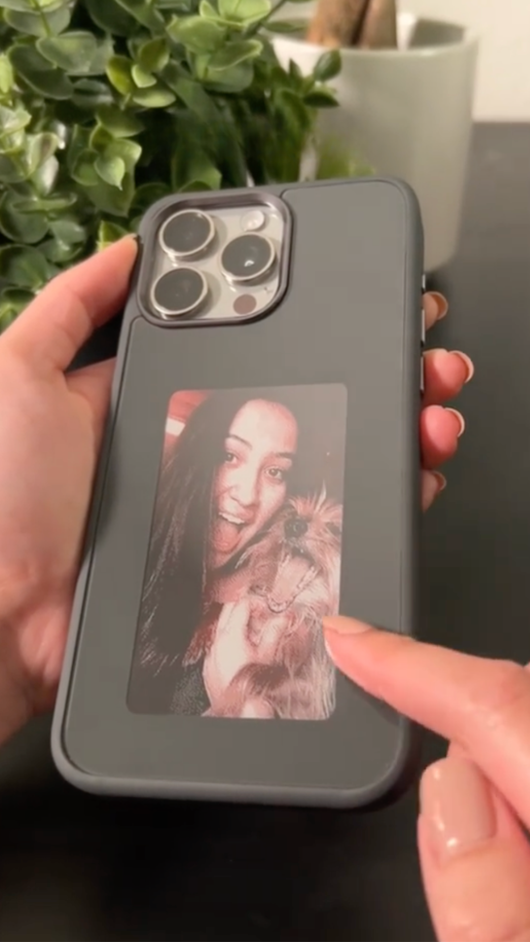 Image Title Alt Image