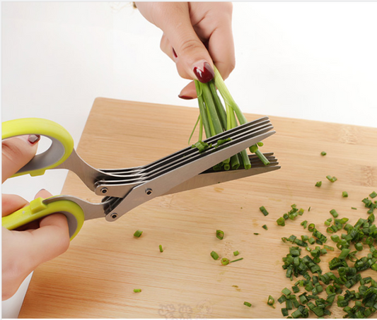 Stainless Steel Multi-Layer Kitchen Scissors for Spices and Herbs